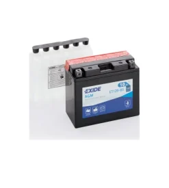 Battera exide maintenance free 12v 10ah sx 160a - l70 x h130 x p150