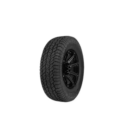 Pneumatico hankook 255/55 r19 111h xl rf11 1026140